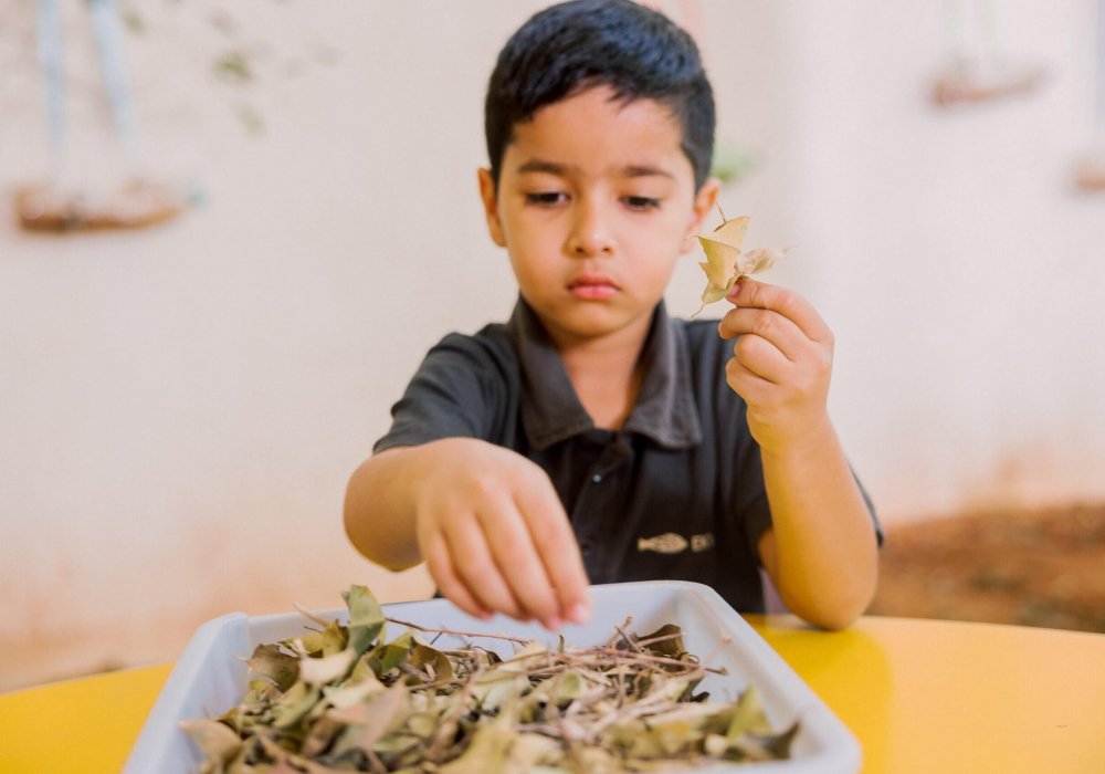 structured play based learning