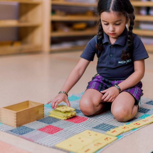 Montessori Material Montessori Material